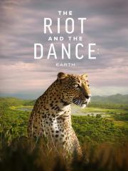 The Riot and the Dance
