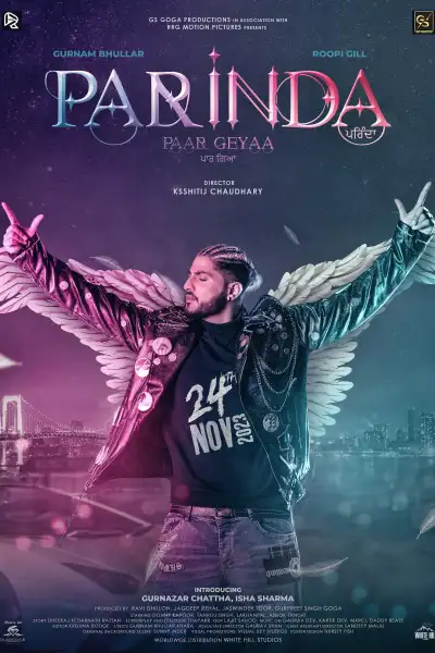Parinda Paar Geyaa [Punjabi] poster