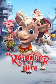 Reindeer in Here