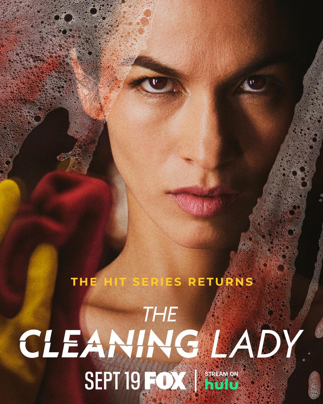 Poster for The Cleaning Lady