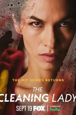 The Cleaning Lady poster