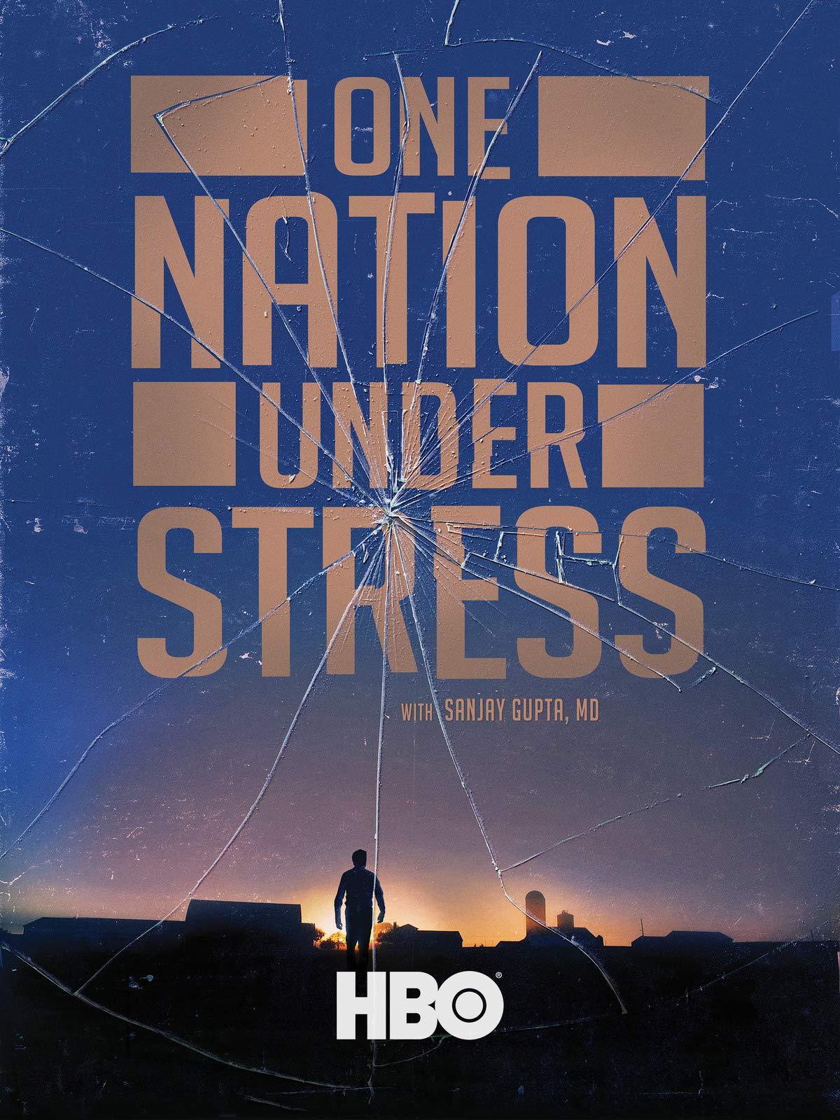 One Nation Under Stress poster