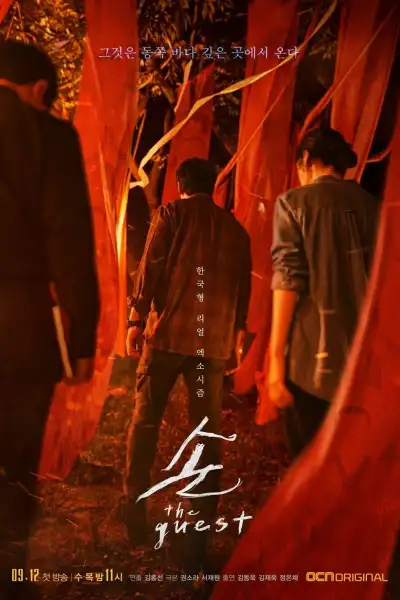 Son: The Guest poster