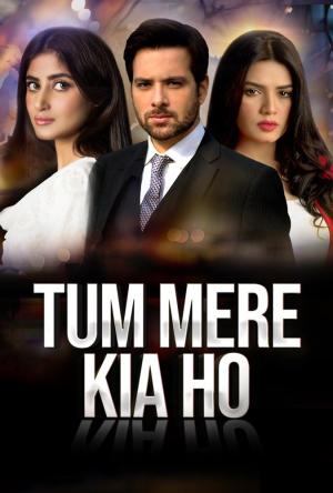 Tum Mere Kya Ho