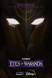 Eyes of Wakanda