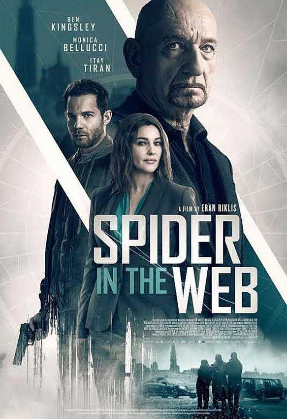 Spider in the Web background
