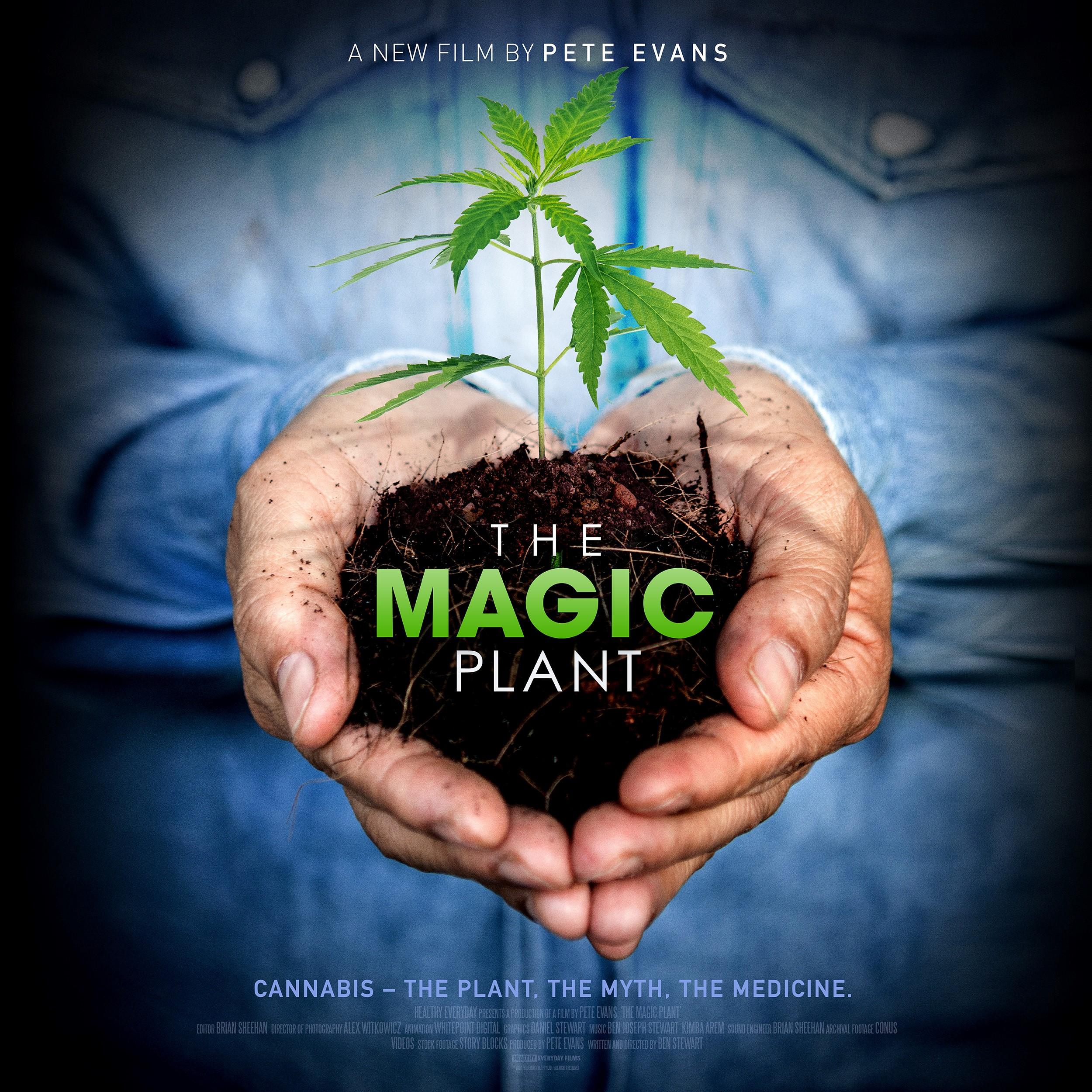 The Magic Plant background