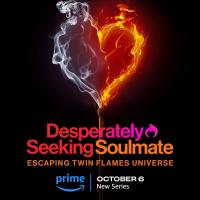 Desperately Seeking Soulmate: Escaping Twin Flames Universe