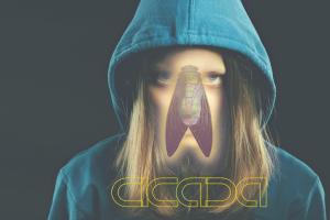 Cicada