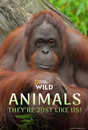 Animals, They're Just Like Us!