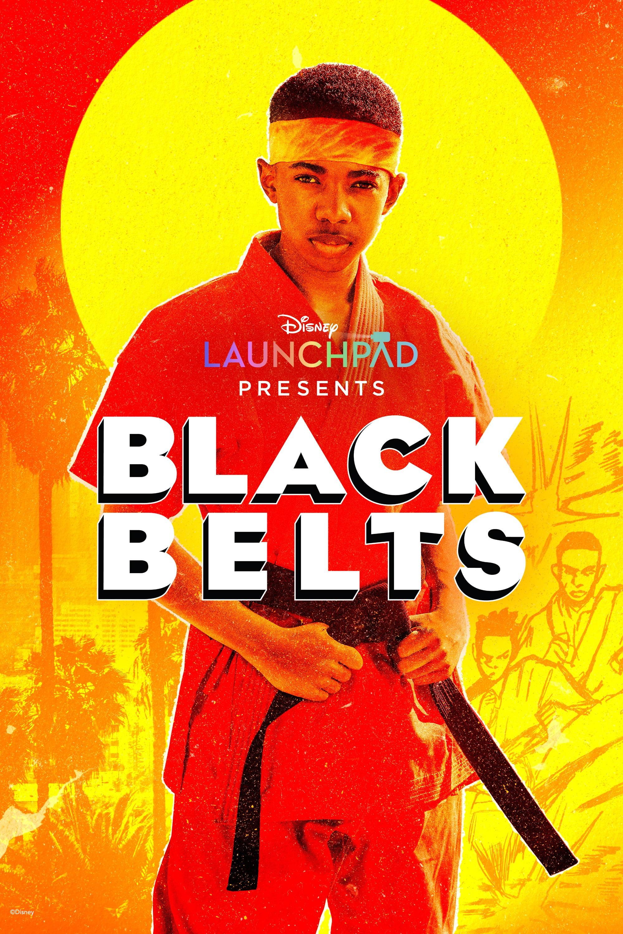 Black Belts (2023) | Watch on Movi47