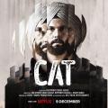 Cat [punjabi]