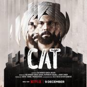 Cat [punjabi]