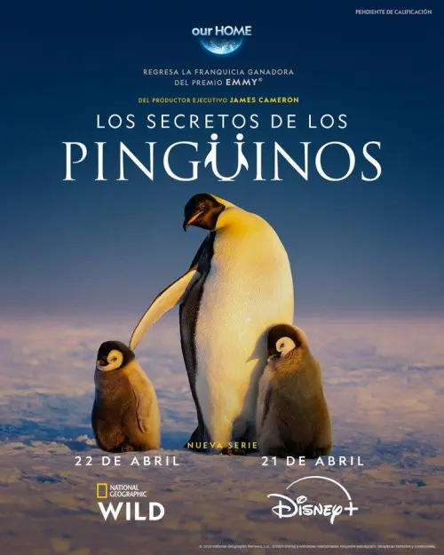 Secrets of the Penguins