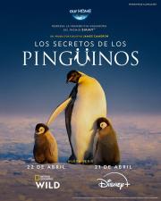 Secrets of the Penguins