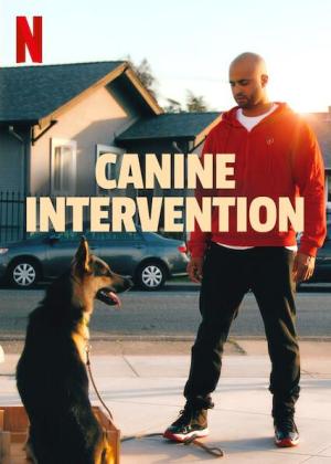 Canine Intervention [Portuguese]