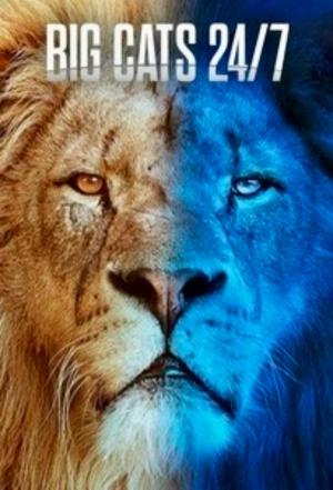 Big Cats 24/7 S1-S2