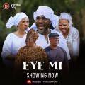 Eye Mi