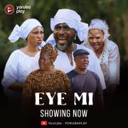 Eye Mi
