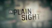 In Plain Sight