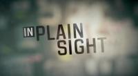 In Plain Sight