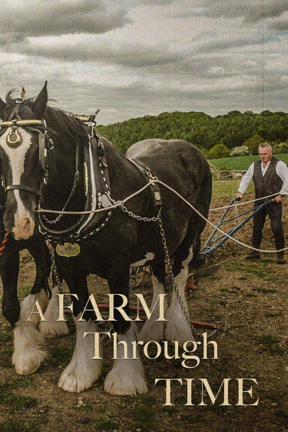A Farm Through Time