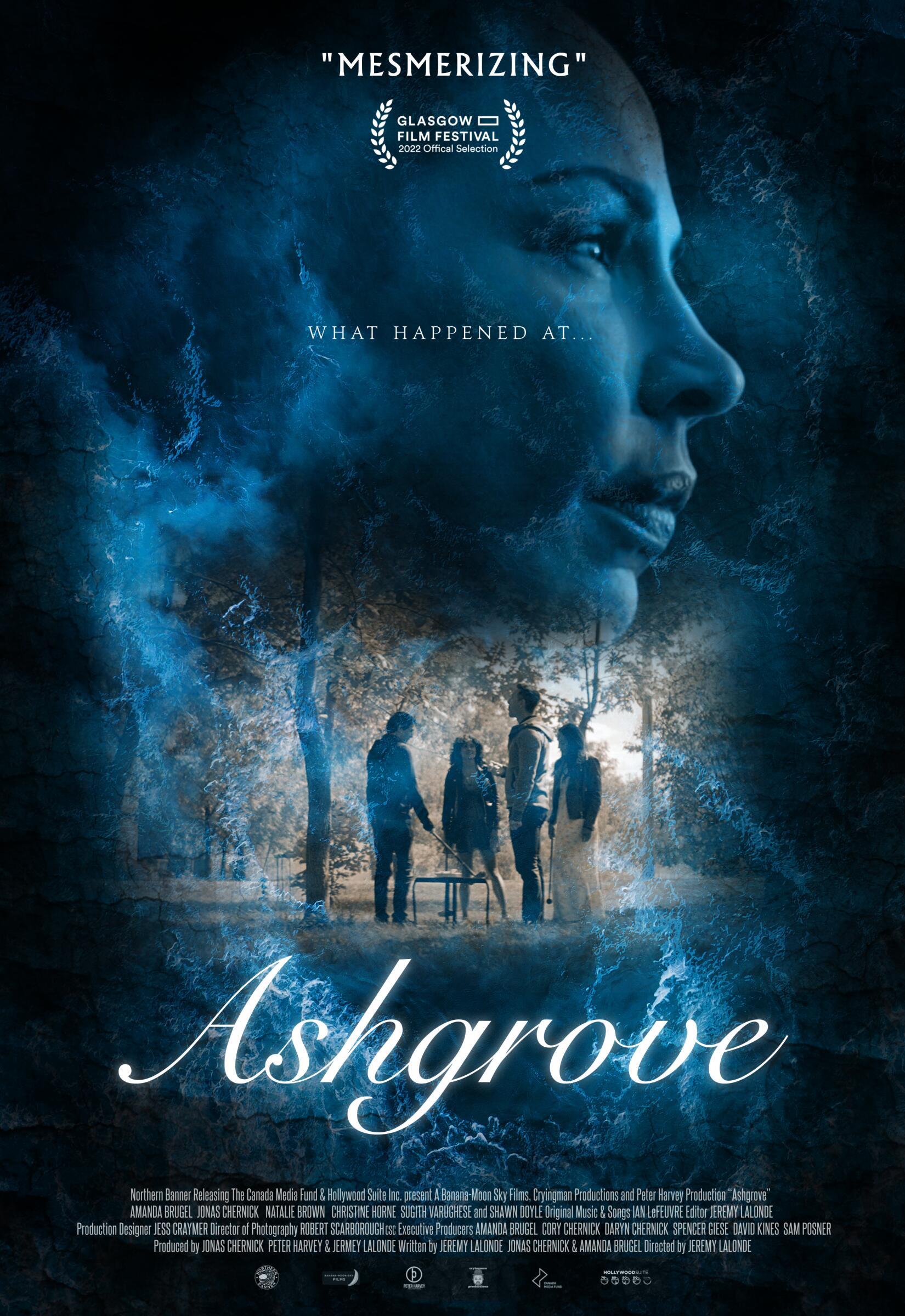 Ashgrove poster - similar to James vs. His Future Self