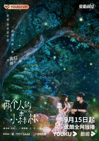 A Romance Of The Little Forest