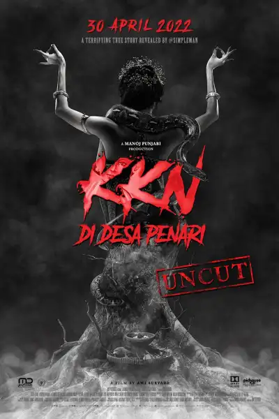KKN di Desa Penari poster