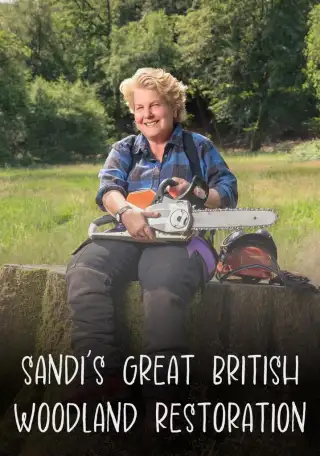 Sandi's Wood