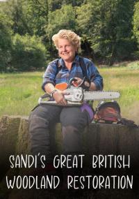 Sandi's Wood