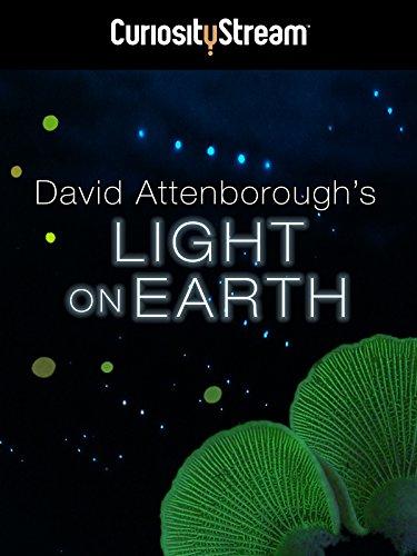 David Attenborough's Light on Earth poster - similar to Brewmaster
