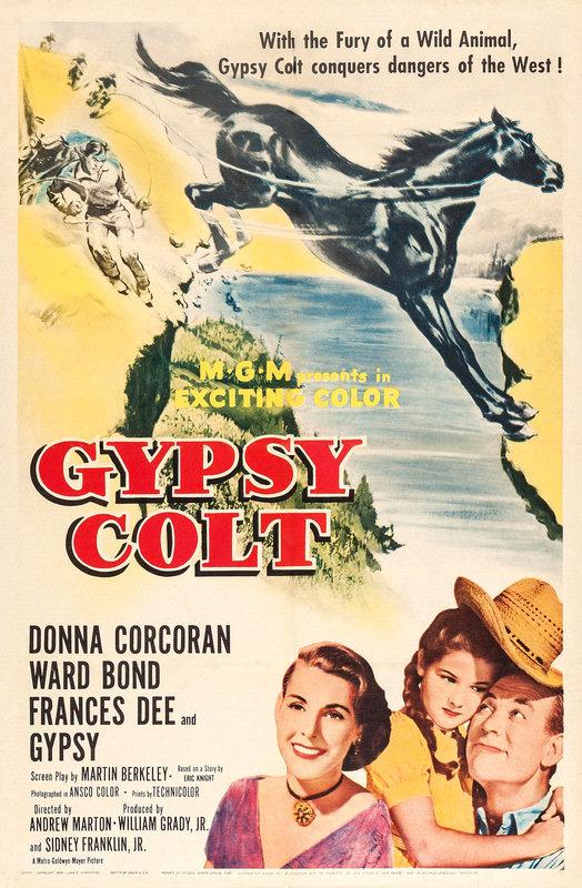 Gypsy Colt - like Robinson Crusoe but darker