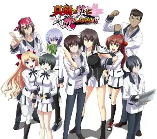 Majikoi ~ Oh! Samurai Girls