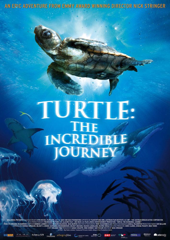 Turtle: The Incredible Journey poster - similar to Wild Appalachia