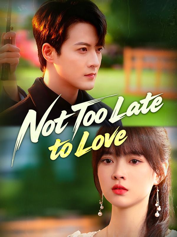 Not Too Late to Love poster