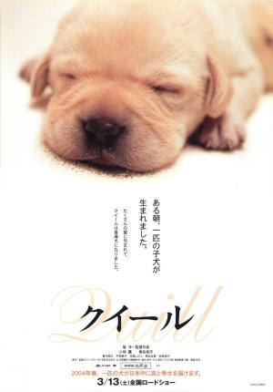 Quill: The Life of a Guide Dog