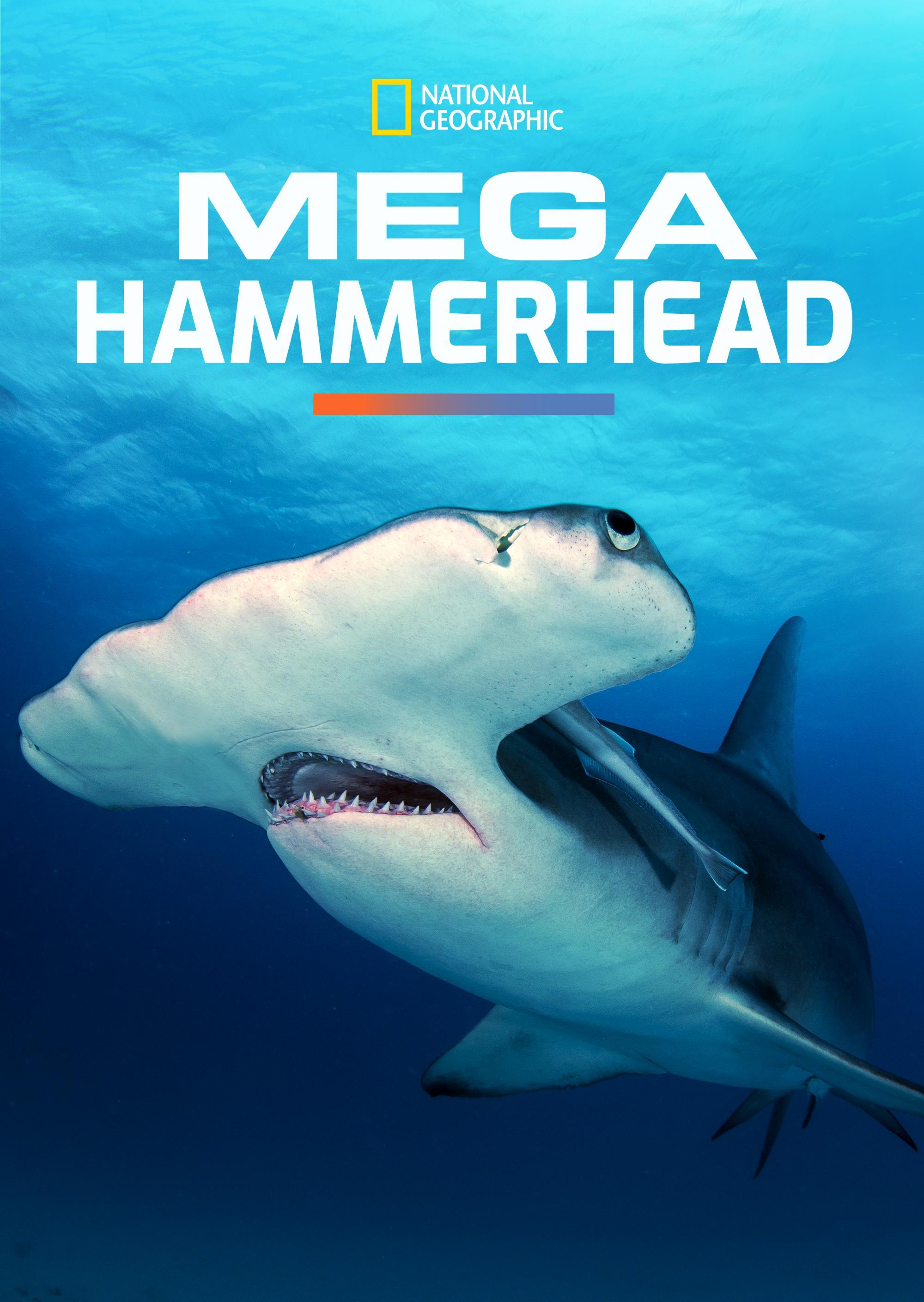 Mega Hammerhead (2016) | Watch on Movi47
