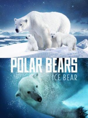 Polar Bears: Ice Bear [Portuguese]
