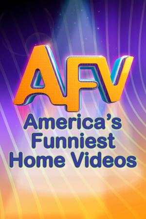 America's Funniest Home Videos S28-S36