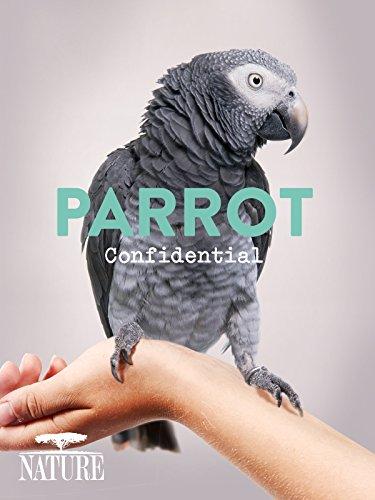 Parrot Confidential poster - similar to Secrets in the Fall