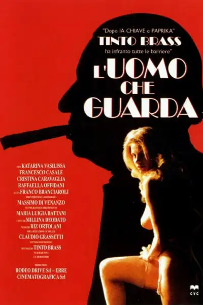 The Voyeur poster