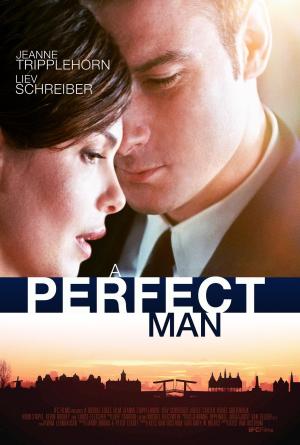 A Perfect Man - 123Movies