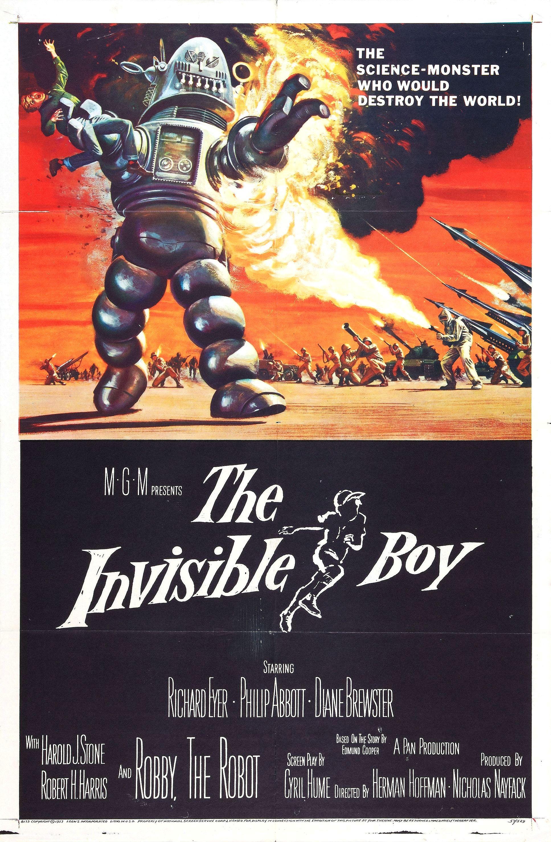 The Invisible Boy poster - similar to The Vanishing Prairie