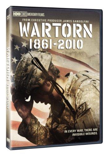 Wartorn: 1861-2010 poster