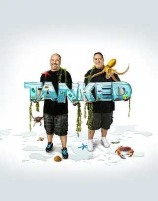 Tanked