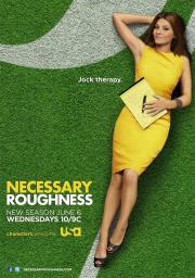 Necessary Roughness