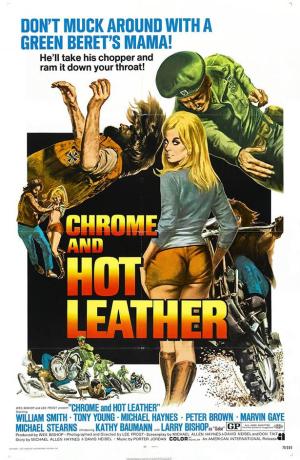 Chrome and Hot Leather