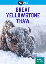 Great Yellowstone Thaw