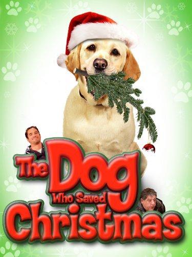 The Christmas Dog (2009) | Watch on Movi47